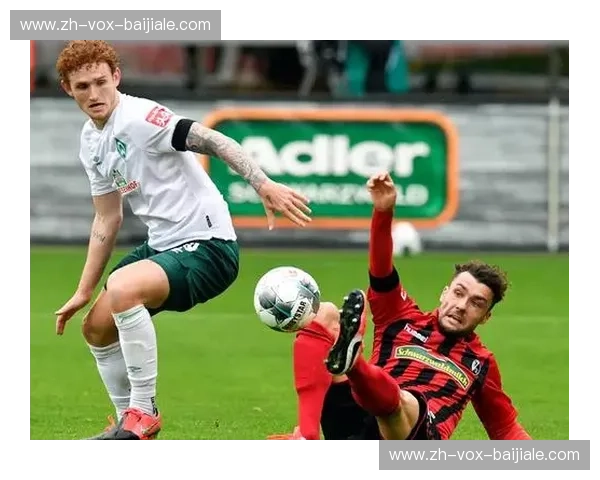 开云体育观赛指南